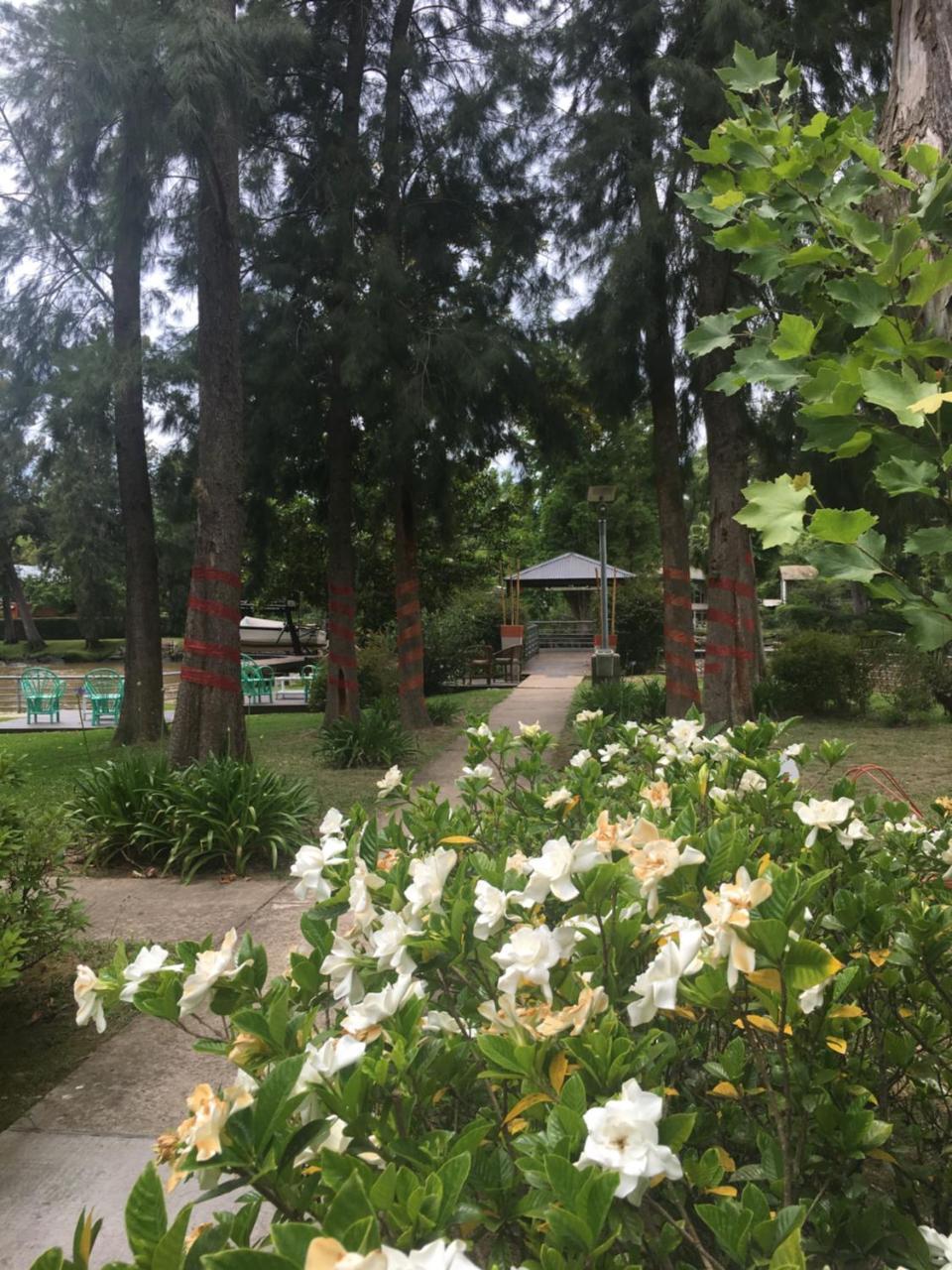 蒂格雷Cabanas Del Espera N 65别墅 外观 照片